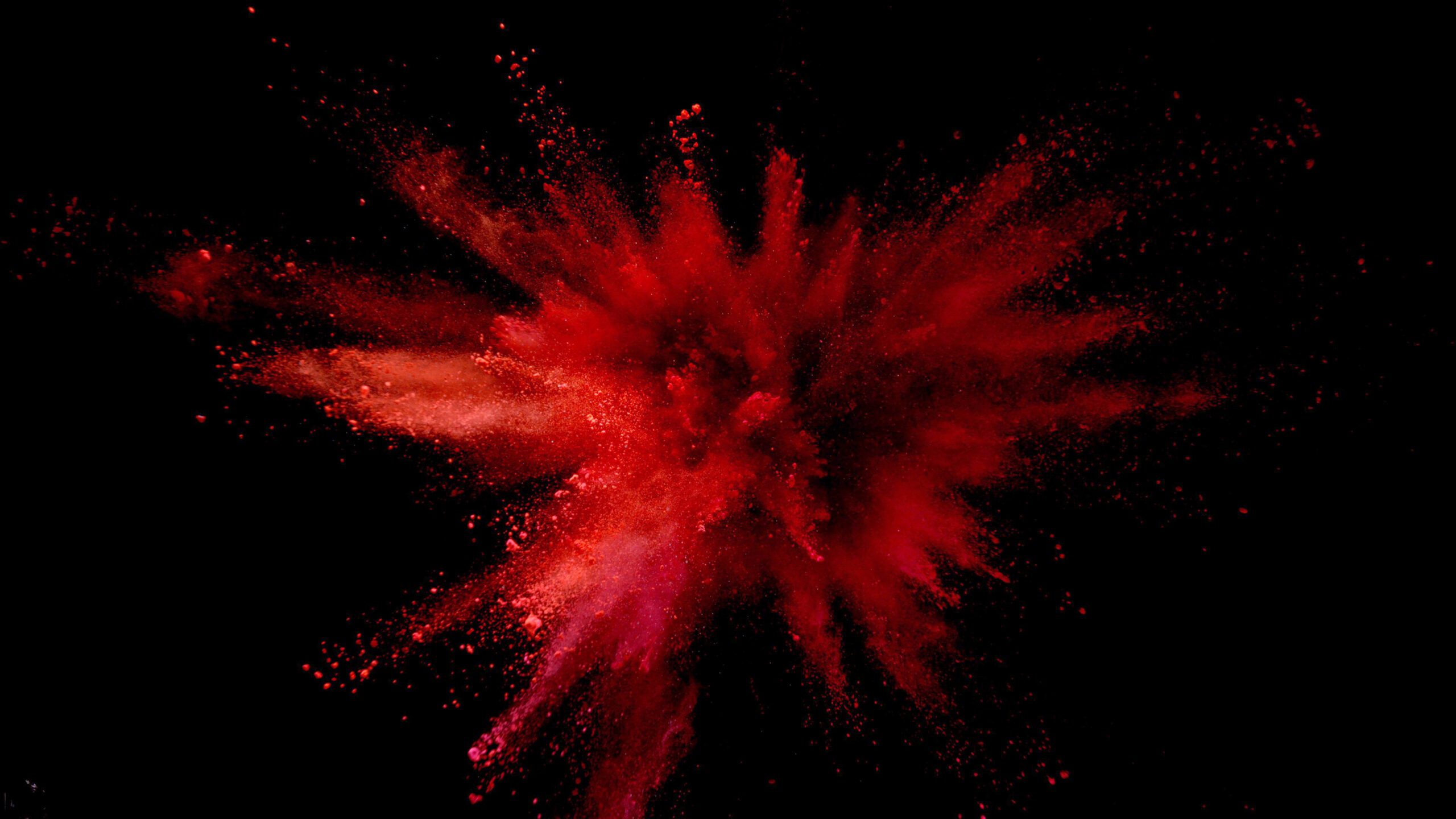 Explosion of colored powder on black background.