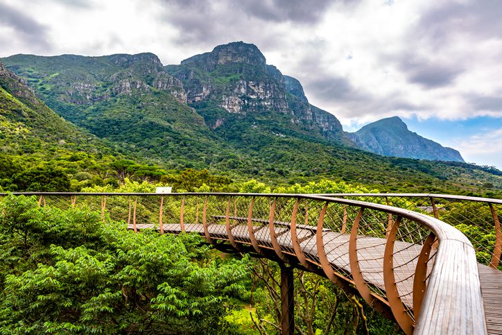 Bridge in the Kirstenbosch botanical gardens