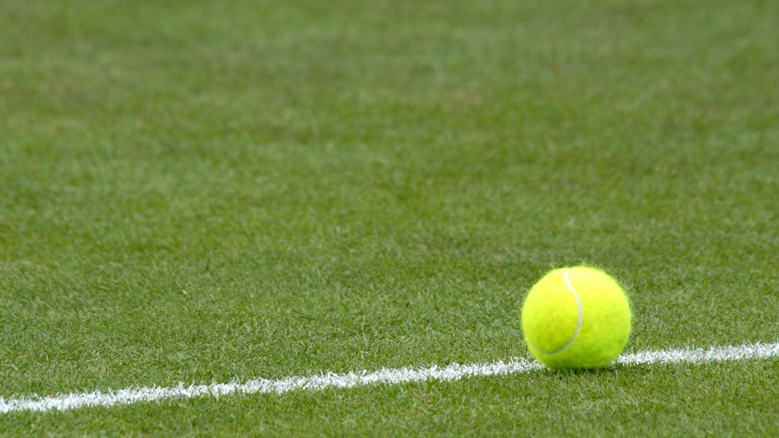 tennis ball on court