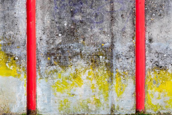 abstract painting with red bars represents dual registration