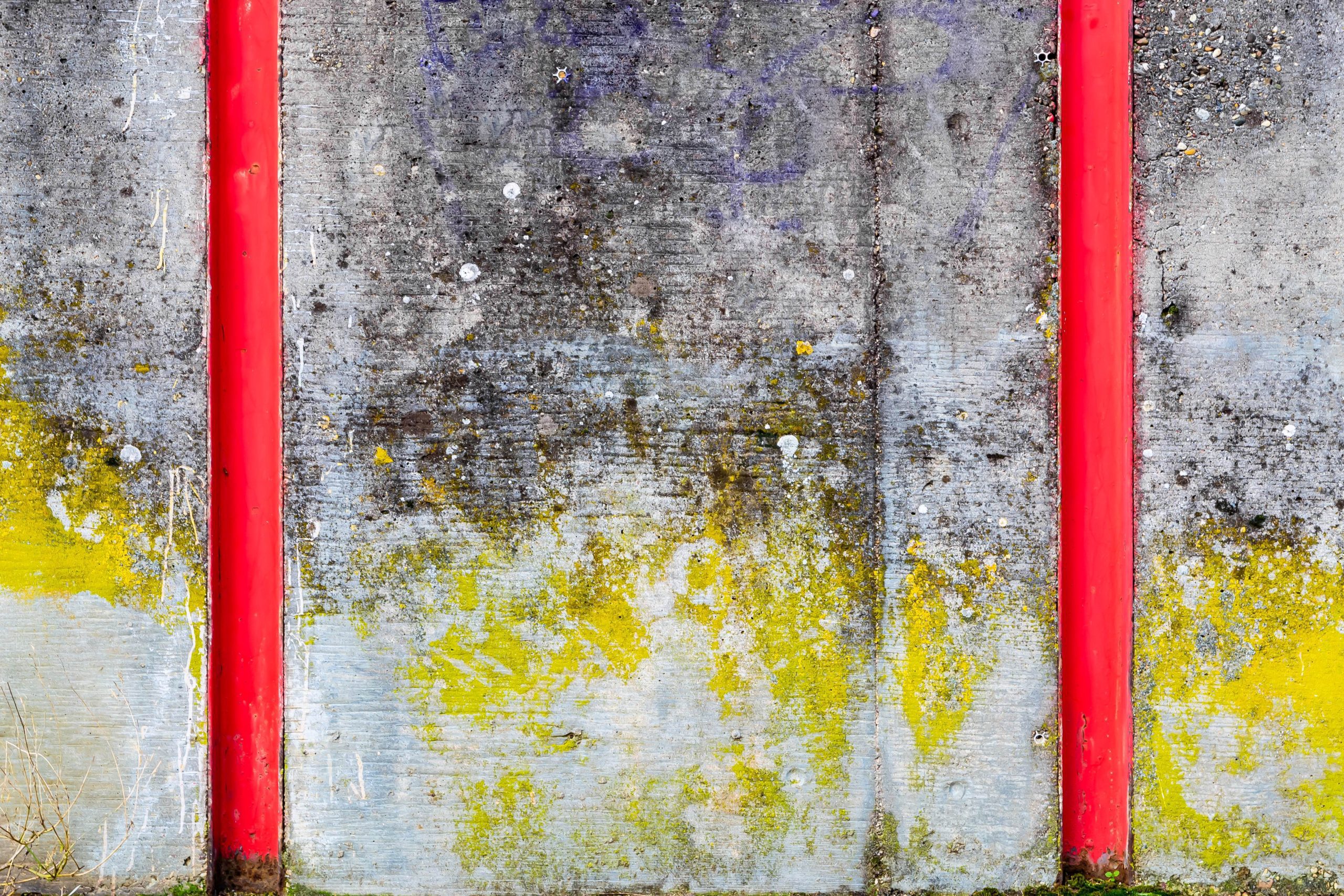 abstract painting with red bars represents dual registration